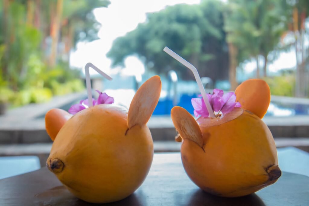 Best Luxury Bentota River Villa in Sri Lanka